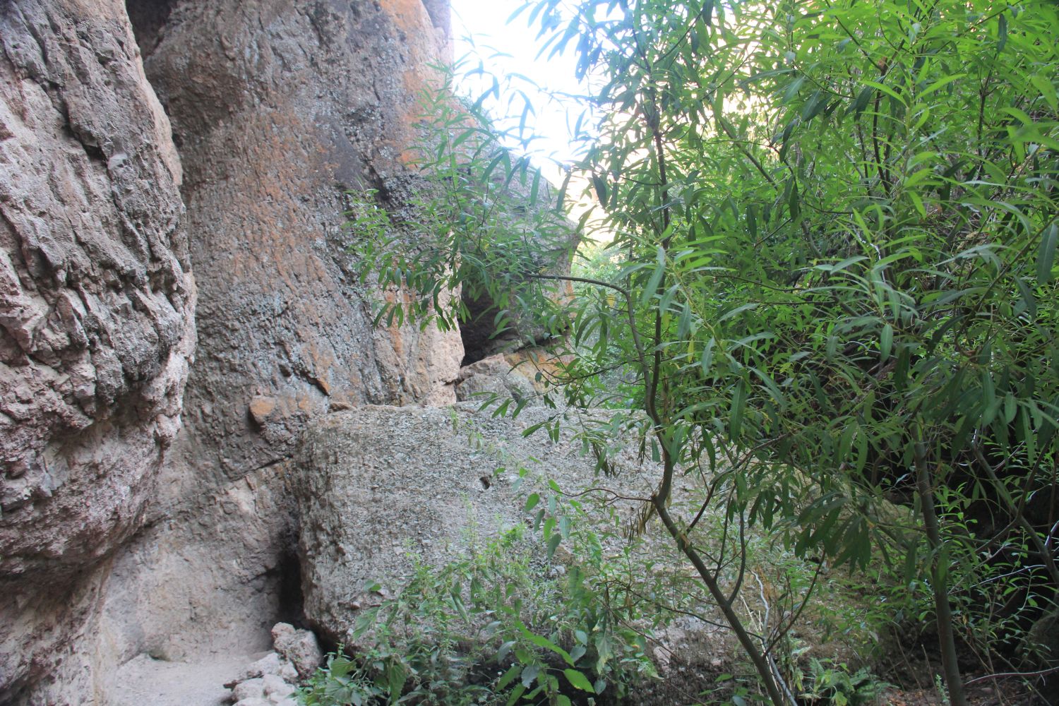 Bear Gulch Cave Trail 